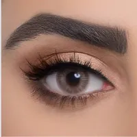 عدسات لاصقة ملونة يومية - مارون 19  - من ذهب